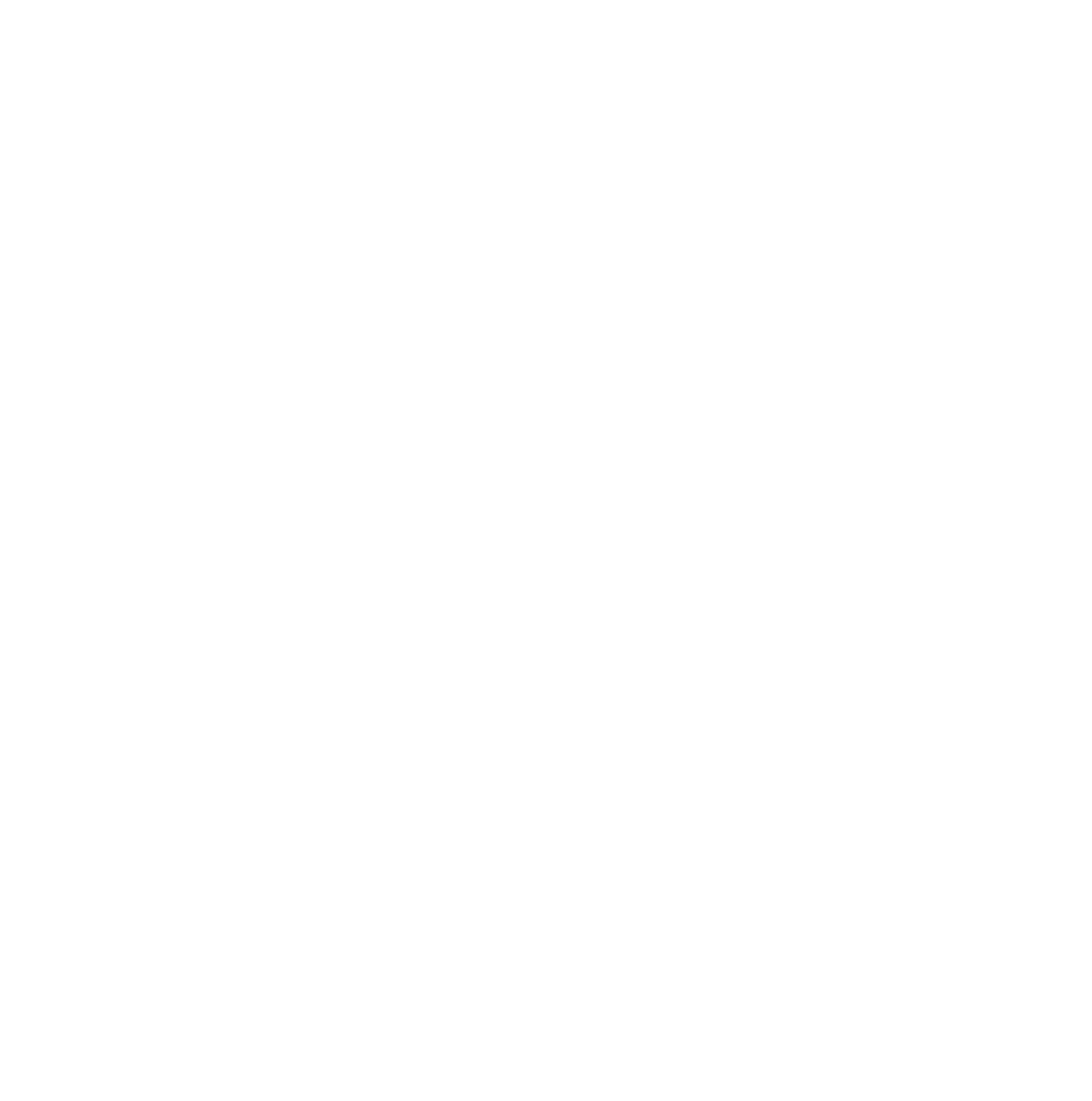 Czarne domki krempna logo