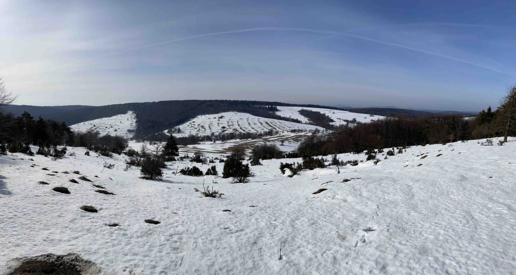 Panorama ciechani