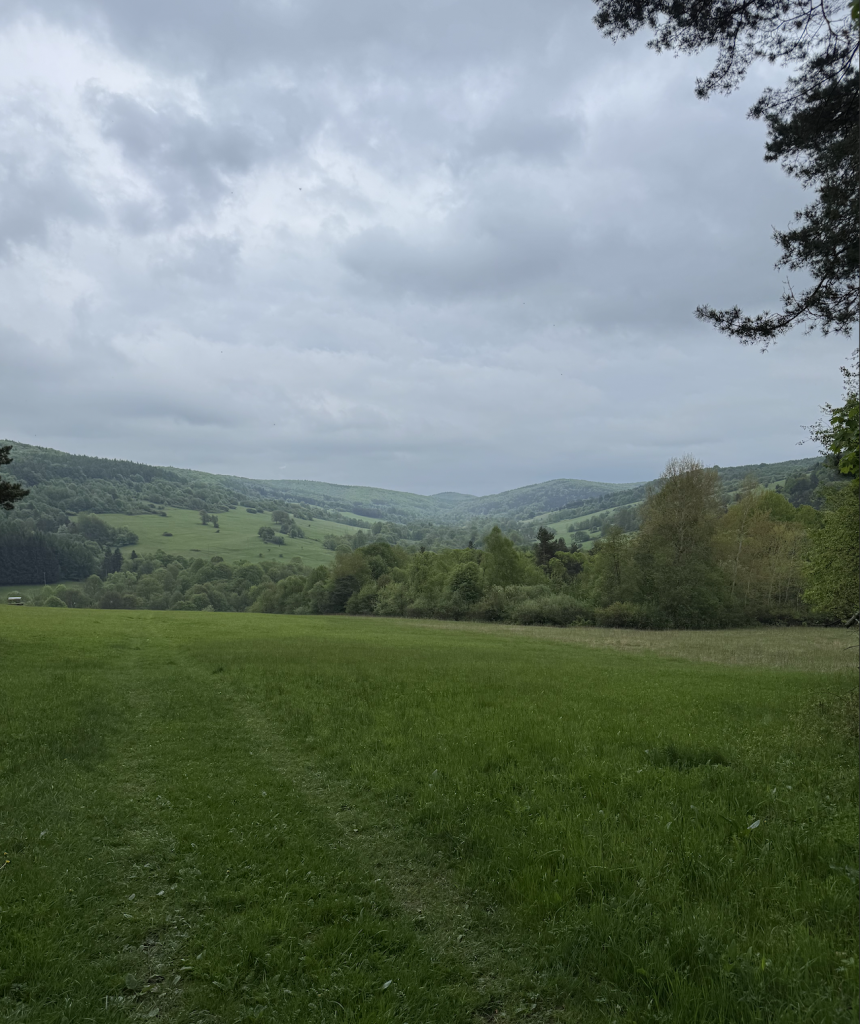 Panorama na dolinę ze ścieżki przyrodniczej kiczera